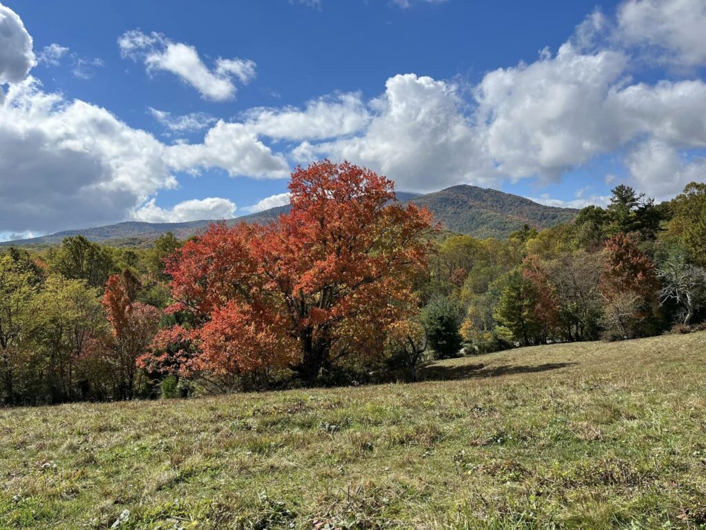 Fall in the NC High Country